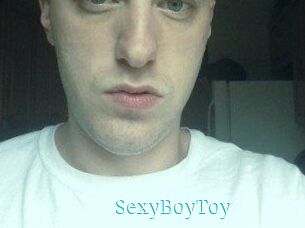 SexyBoyToy