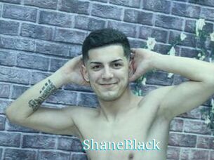 ShaneBlack