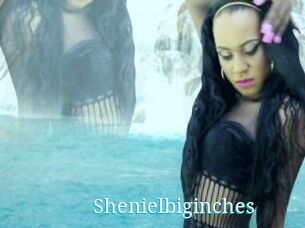 Shenielbiginches