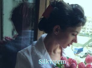 Silkworm