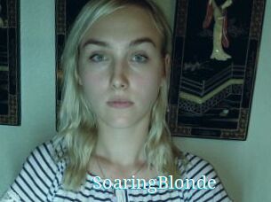 SoaringBlonde