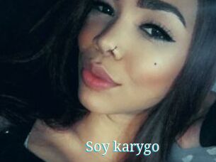 Soy_karygo