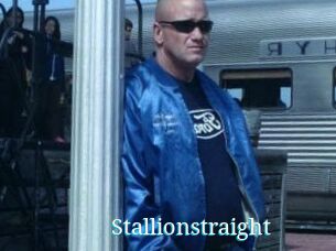 Stallionstraight