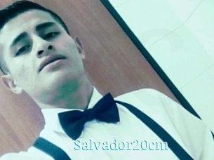 Salvador20cm