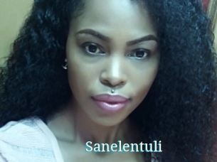 Sanelentuli