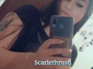 Scarlethrush