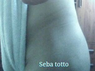 Seba_totto