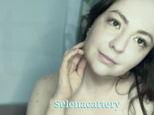 Selenacartery