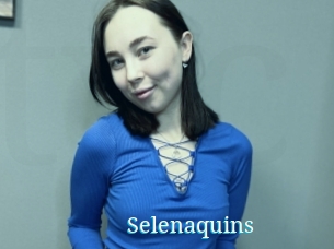 Selenaquins