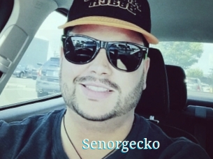 Senorgecko
