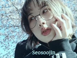 Seosoojin