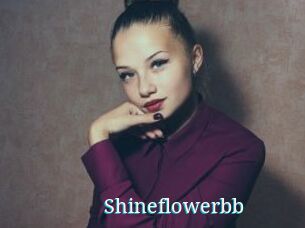 Shineflowerbb
