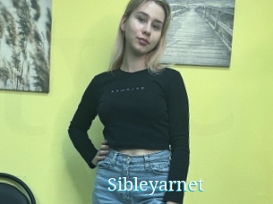 Sibleyarnet