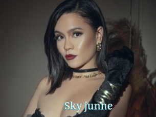 Sky_junne