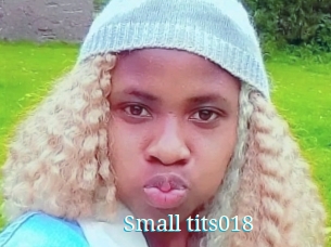 Small_tits018
