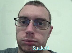 Snakefl