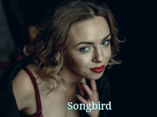 Songbird
