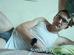 Sonicegay