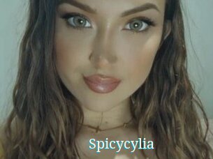 Spicycylia