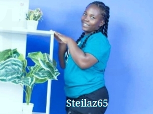 Steilaz65