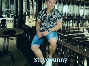 Stevebunny