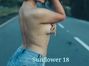 Sunflower_18