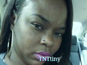 T_N_Ttiny