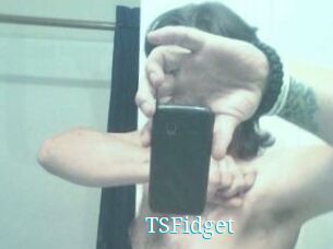 TSFidget