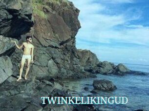 TWINKELIKINGUD