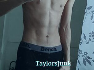 TaylorsJunk