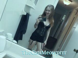 TheCatsMeowprrr