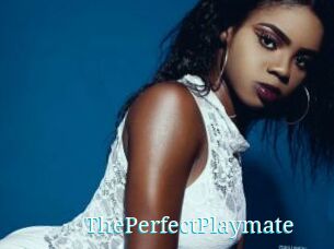 ThePerfectPlaymate