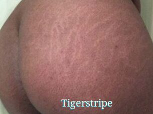 Tigerstripe