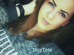 TinyTess