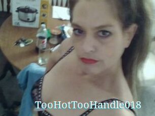 TooHotTooHandle018