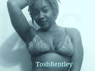 Tosh_Bentley