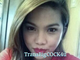 TransBigCOCK4u