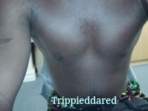 Trippieddared