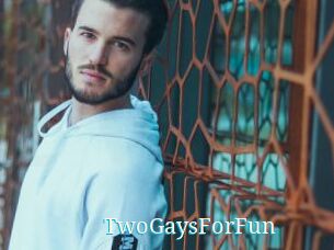 TwoGaysForFun
