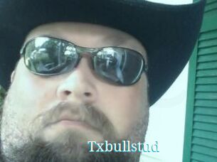 Txbullstud