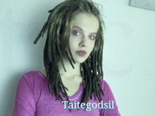 Taitegodsil