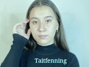 Taitfenning