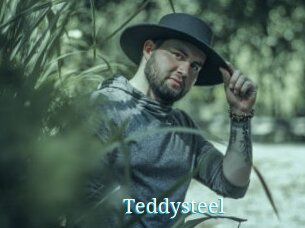 Teddysteel
