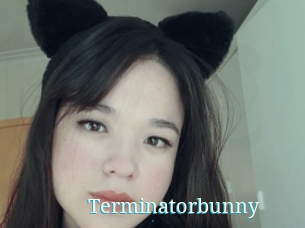 Terminatorbunny