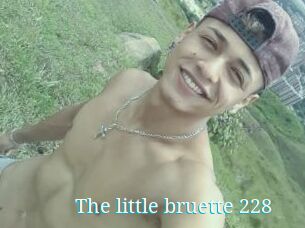 The_little_bruette_228