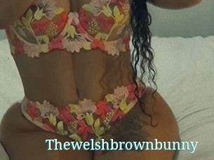 Thewelshbrownbunny
