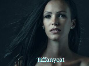 Tiffanycat
