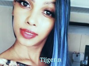 Tijgerin