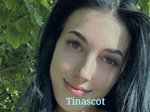 Tinascot