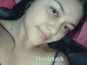 Tinnimark